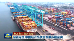 【新思想引领新征程】向新